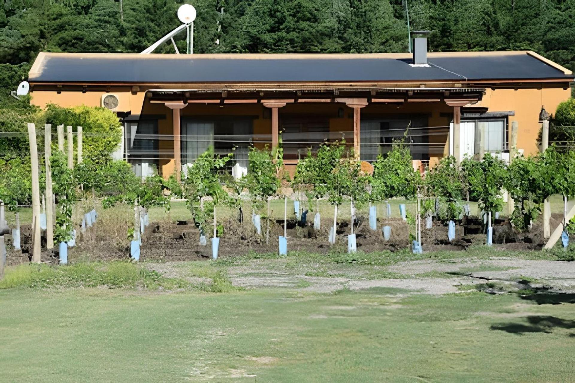 לוס סאוסס Finca Ogawa מראה חיצוני תמונה
